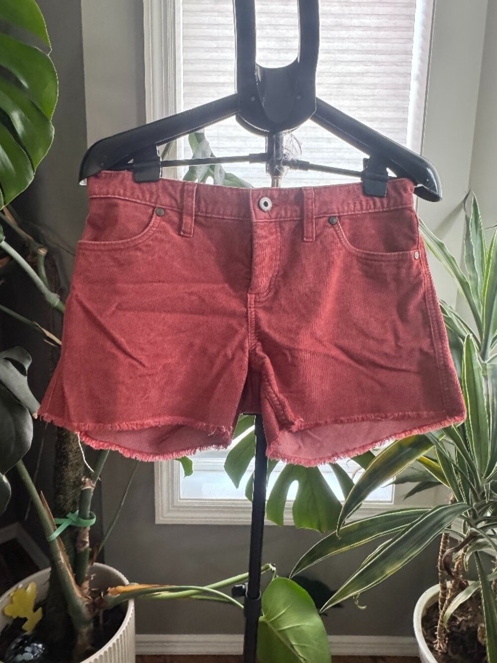 Whimsigoth Dusty Rose Corduroy Cutoff Shorts 🌹 Carve Designs Size 4